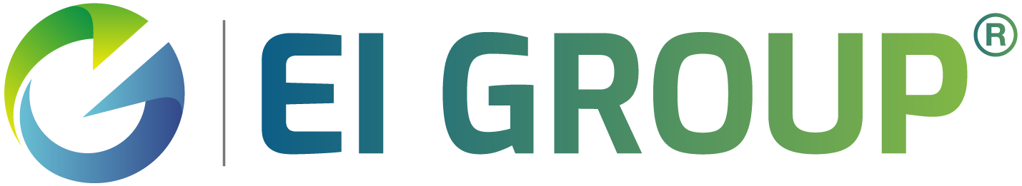 Logo EI GROUP